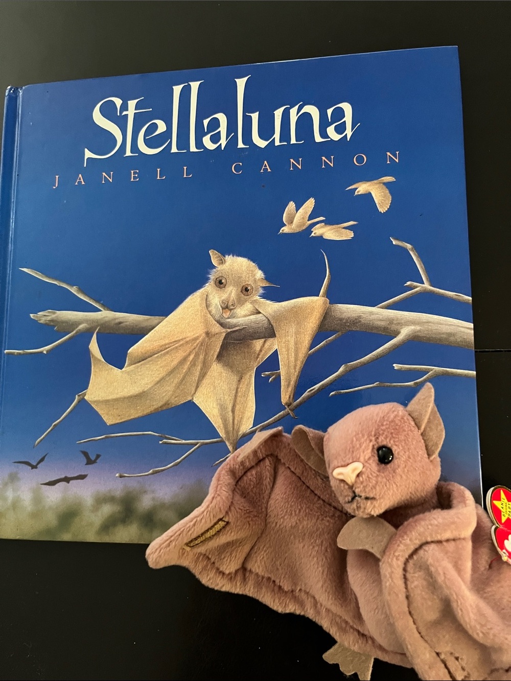 STELLALUNA hardcover book with BAT beanie